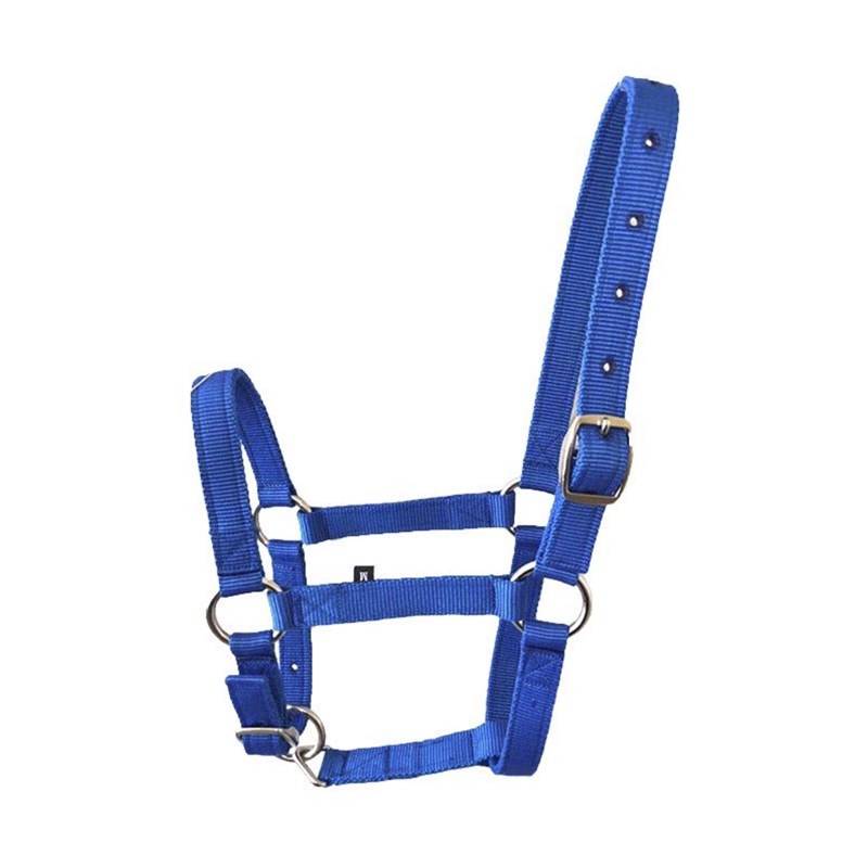 BLUE S CODE